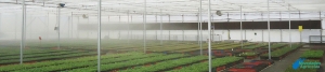 Relative humidity control on crops in greenhouses